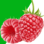 核相仪2